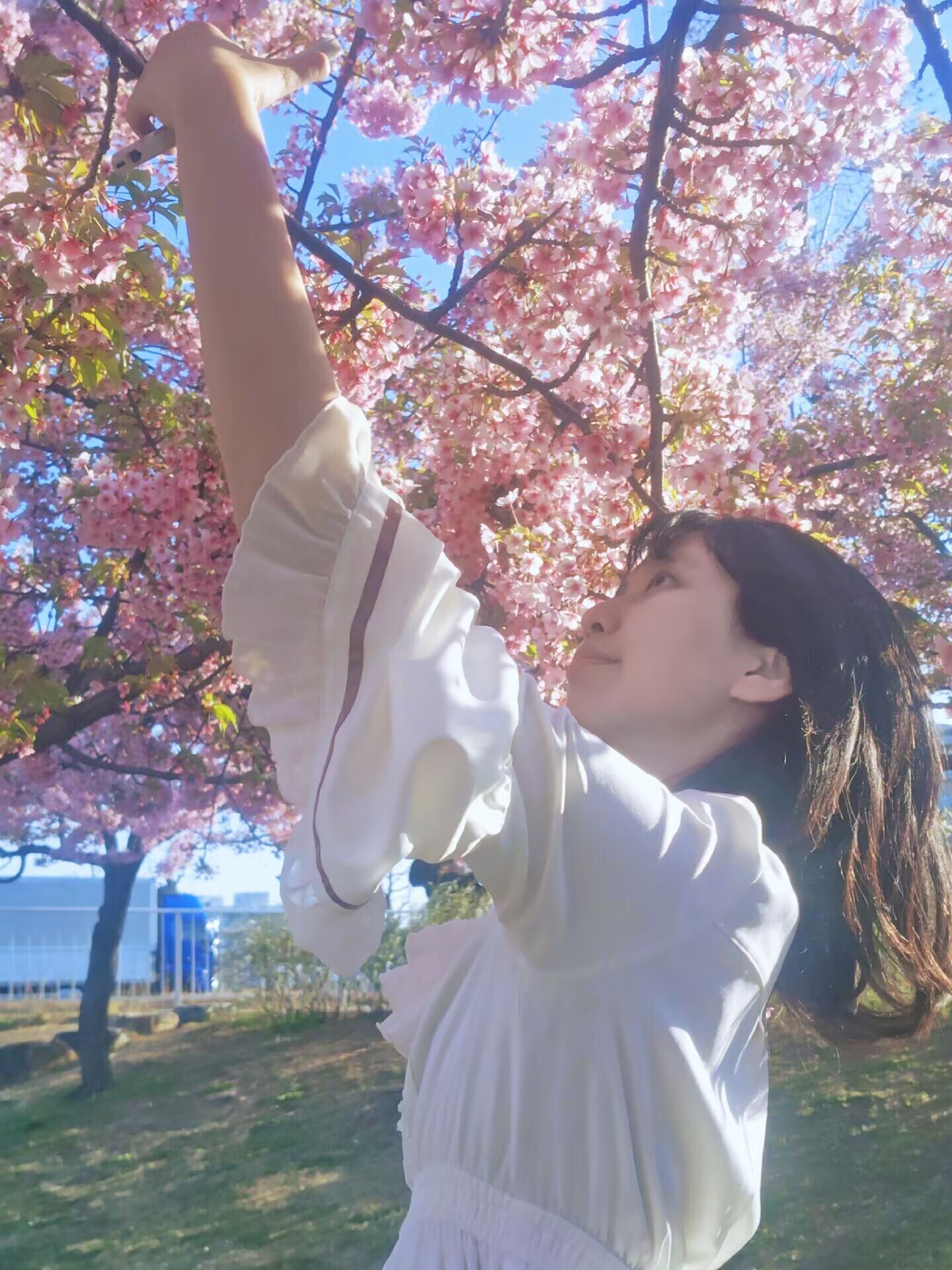 Portrait of Siyu Ding